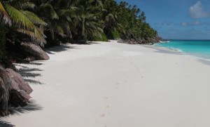 foto seychelles isola di Fregate by www.viaggidinozze.net  300x181 Quando il sogno diventa realtà