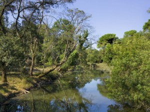  Parco di San Rossore, tra natura selvaggia e terme